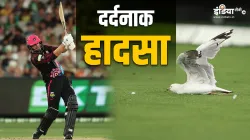 James Vince- India TV Hindi