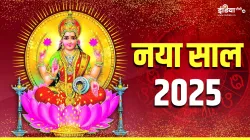 नया साल 2025- India TV Hindi