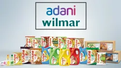 Adani Wilmar- India TV Paisa