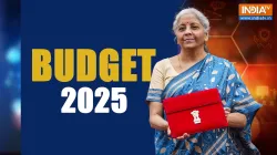 Budget 2025- India TV Paisa