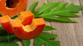 पपीते की पत्तियां करती हैं कई गंभीर बीमारियों का इलाज, जानें कब और कैसे करें सेवन?