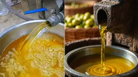 कोल्ड प्रेस और हॉट प्रेस ऑयल में क्या अंतर होता है? जानिए कौन सा तेल सेहत के लिए अच्छा होता है?