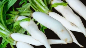 शरीर के किस अंग के लिए फायदेमंद मूली, सर्दियों में जरूर खाएं, कई समस्याएं हो जाएंगी दूर