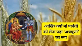 जब शिव ने 'संसार' को कहा माया, तब आहत देवी पार्वती ने ऐसे समझाया महत्व, जानें 'अन्नपूर्णा' रूप की पौराणिक कथा