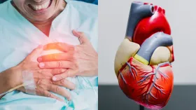 नॉर्मल कोलेस्ट्रॉल पर भी आ सकता है हार्ट अटैक, AIIMS डॉक्टर से जानें पता लगाने के लिए किन टेस्ट को कराना चाहिए? 