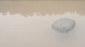 उधमपुर में चमत्कार! तवी नदी में तैरता मिला 4 किलो का पत्थर, विशेषज्ञों ने खोला राज