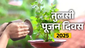 Tulsi Pujan Diwas 2025: तुलसी पूजन दिवस कब मनाया जाएगा 24 और 25 दिसंबर? जानें सही डेट और पूजा नियम