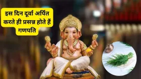 Durva Upay: दूर्वा से मजबूत होगा बुध ग्रह, बुधवार को इन उपायों से बनते हैं बिगड़े काम, पढ़ाई-करियर में मिलेगी सफलता