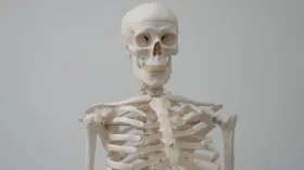इंसान के शरीर की इकलौती हड्डी जो दूसरी हड्डी को नहीं छूती, क्या आप जानते हैं कहां होती है?