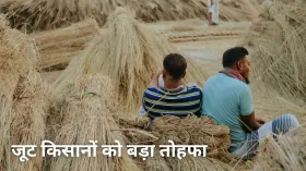 किसानों की बल्ले-बल्ले, केंद्र सरकार ने दी बड़ी सौगात, जूट का MSP बढ़ाया