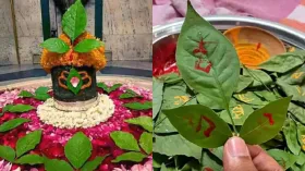 शिवलिंग पर चढ़ा बेलपत्र खाने के फायदे, क्यों महाशिवरात्रि पर लोग करते हैं ये उपाय