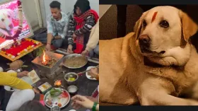 VIDEO: पालतू कुत्ते को बेटे जैसी विदाई... हिंदू रीति-रिवाजों से अंतिम संस्कार, मुंडन और ब्रह्मभोज की रस्म भी निभाई