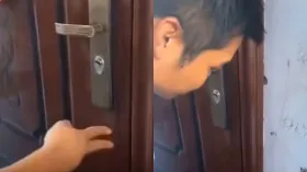 शख्स को घर में बिल्ली पालने का हुआ फायदा, Video देख आप भी समझ जाएंगे कैसे