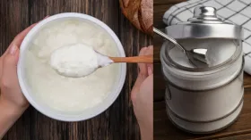 दही के साथ क्या मिलाएं, नमक या फिर चीनी? कौन सा ऑप्शन सेहत के लिए ज्यादा फायदेमंद
