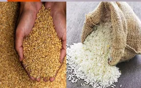 छत्तीसगढ़ में 62 हजार से अधिक परिवारों को निशुल्क भोजन, राशन