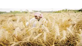 किसानों के लिए पंजाब सरकार की बड़ी घोषणा, फसल बेचने के लिए मंडी आने की मिलेगी छूट