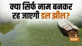कश्मीर की डल झील को आखिर क्या हो गया? हालत देखकर नहीं होगा यकीन, जानिए क्या है वजह