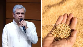 गेहूं की MSP पर आया सरकार का बड़ा फैसला, अश्विनी वैष्णव ने किया नए रेट का ऐलान