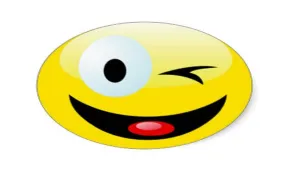   शादी के अगले दिन....