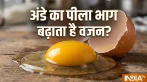 क्या अंडे का पीला भाग खाने से सच में बढ़ता है वजन? जानें क्या कहते हैं एक्सपर्ट?