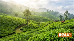 दार्जिलिंग में घूमने की जगह, दिल में बस जाएगी खूबसूरती, जानिए कैसे बना अंग्रेजों का पसंदीदा हिल स्टेशन