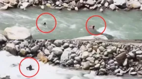 हिमाचल प्रदेश: कुल्लू में फोटो खिंचवाते समय पंजाब के 3 पर्यटक नदी के तेज बहाव में बहे, सामने आया VIDEO