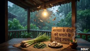 बरसात में बल्ब जलाते ही लग जाता है कीड़ों का जमावड़ा? भगाने के लिए अपनाएं ये घरेलू उपाय