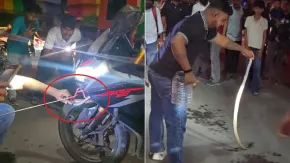 स्पोर्ट्स बाइक स्टार्ट करने गया तो इंजन में बैठा मिला जहरीला कोबरा! देखें रेस्क्यू का शॉकिंग VIDEO