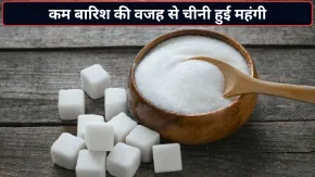 चीनी के दाम में अचानक आई तेजी! जून में कम बारिश की वजह से रेट 6-7% तक चढ़े