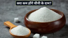 महंगी चीनी से क्या जल्द मिलेगी राहत? ISMA ने कहा- देश में नहीं है कोई शॉर्टेज