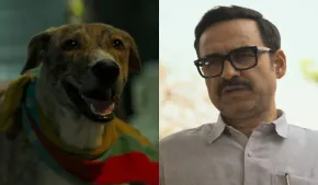 ओह माय डॉग