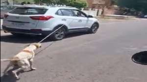 कुत्ते को रस्सी से बांधकर कार से घसीटा! वीडियो वायरल होने के बाद अलर्ट हुई पुलिस, आरोपी हामिद गिरफ्तार