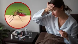 National Dengue Day 2024: लगातार उल्टी और हाथ पैरों पर दाने, हो सकते हैं डेंगू के लक्षण, जानिए कैसे बचाव करें