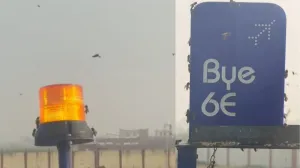 एयरपोर्ट पर मचा हड़कंप, मधुमक्खियों ने जमकर मचाया तांडव; डेढ़ घंटे लेट हुई फ्लाइट