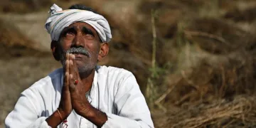 Whitefly Attack: किसानों की फसल बर्बाद, पंजाब सरकार को भी झटका- India TV Paisa