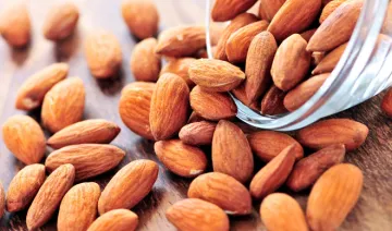 almond- India TV Hindi