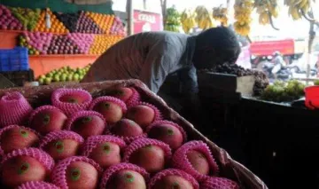 भारतीय बाजार में सस्‍ता बिकेगा विदेशी सेब, सरकार ने आयात के नियम बनाए सरल- India TV Paisa