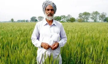 किसानों को 7% की दर पर मिलेगा लोन, मंत्रालय ने ब्याज सहायता के लिए आगे बढ़ाया मंत्रिमंडल नोट- India TV Paisa