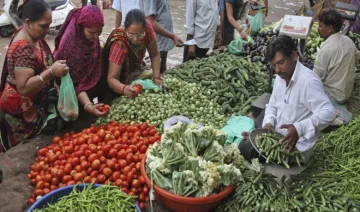 Inflation Cools: फरवरी में थोक महंगाई दर -0.9 फीसदी पर बरकरार, दालों और सब्जियों की कीमतों में आई गिरावट- India TV Paisa