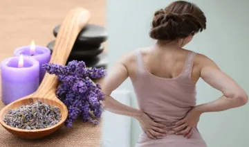 lavender oil - India TV Hindi