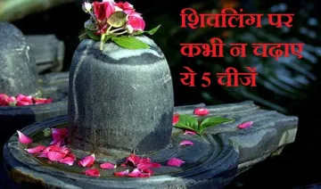 shiv ling- India TV Hindi