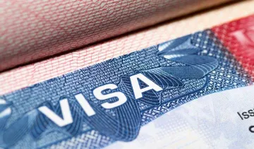 H-1B Visa के लिए अमेरिकी सरकार को मिले 2.50 लाख आवेदन, ज्यादातर भारतीय कंपनियों ने किया एप्लाई- India TV Paisa