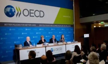 Panama Papers: OECD ने बुलाई बैठक, 13 अप्रैल को पेरिस में जुटेंगे भारत सहित कई देशों के प्रतिनिधि- India TV Paisa