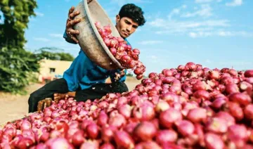 किसानों के हितों की रक्षा के लिए सरकार ने प्याज के निर्यात पर 31 मार्च तक बढ़ाईं रियायतें- India TV Paisa