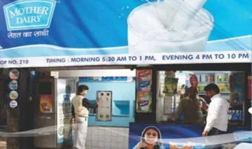 मदर डेयरी बेचेगी गाय का दूध, एक साल में पांच लाख लीटर प्रतिदिन की बिक्री का लक्ष्य किया तय- India TV Paisa