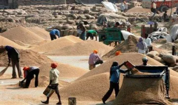 सरकार का 2016-17 में रिकॉर्ड 27 करोड़ टन खाद्यान्न उत्पादन का लक्ष्य, बेहतर मानसून की है संभावना- India TV Paisa