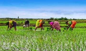 कृषि मंत्रालय ने बैंकों से कहा किसानों को समय पर दे कर्ज, मंजूरी प्रक्रिया को बनाया आसान- India TV Paisa
