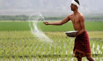 नई कीमतों पर उर्वरक नहीं बेचने वाली कंपनियों के खिलाफ हो सकती है कार्रवाई- India TV Paisa