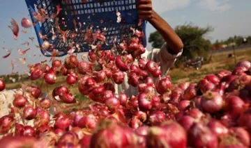 For Farmer&#8217;s Sake: गडकरी ने व्यापारियों से कहा, प्याज का निर्यात बढ़ाएं और किसानों को बचाएं- India TV Paisa