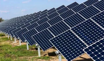 सौर ऊर्जा उत्‍पादन दर 1.5 रुपए प्रति यूनिट आने की उम्मीद, थर्मल पावर से भी कम हुई लागत- India TV Paisa